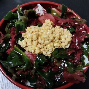 納豆にわかめをプラス♪海藻納豆サラダ